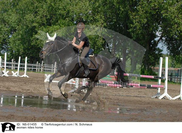 Frau reitet Rheinlnder / woman rides horse / NS-01455