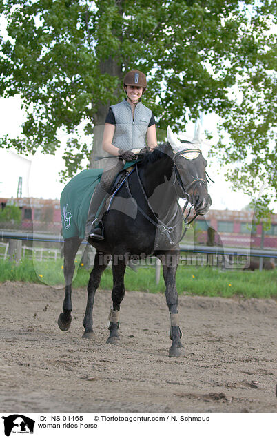 Frau reitet Rheinlnder / woman rides horse / NS-01465