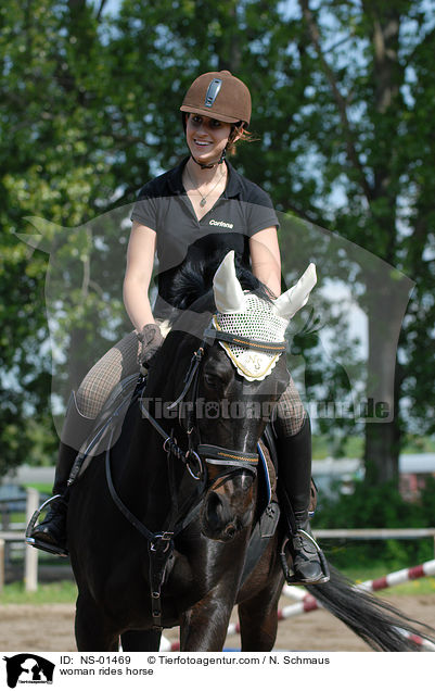 Frau reitet Rheinlnder / woman rides horse / NS-01469