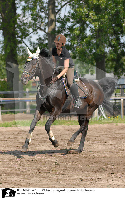 Frau reitet Rheinlnder / woman rides horse / NS-01473