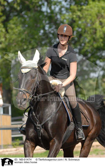 Frau reitet Rheinlnder / woman rides horse / NS-01474