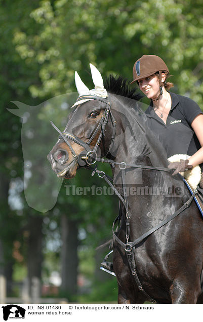 Frau reitet Rheinlnder / woman rides horse / NS-01480