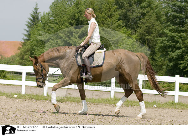 horsewoman / NS-02177