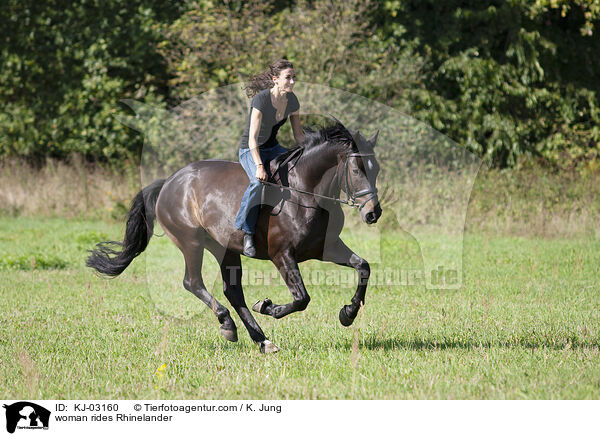 Frau reitet Rheinlnder / woman rides Rhinelander / KJ-03160