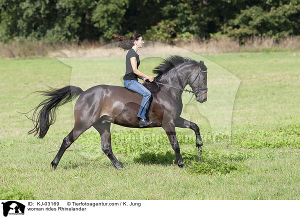 Frau reitet Rheinlnder / woman rides Rhinelander / KJ-03169