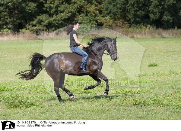 Frau reitet Rheinlnder / woman rides Rhinelander / KJ-03170