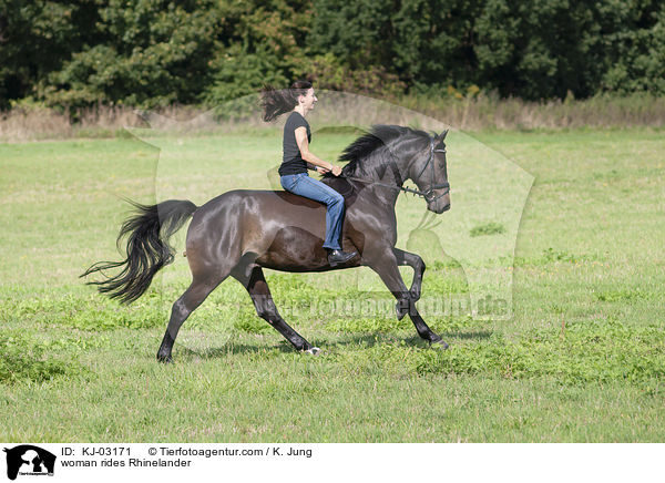 Frau reitet Rheinlnder / woman rides Rhinelander / KJ-03171