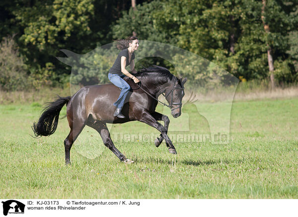 Frau reitet Rheinlnder / woman rides Rhinelander / KJ-03173