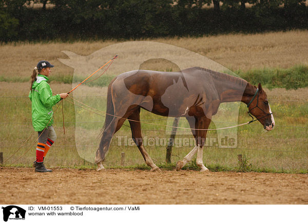 Frau mit Sachsen Anhaltiner Warmblut / woman with warmblood / VM-01553