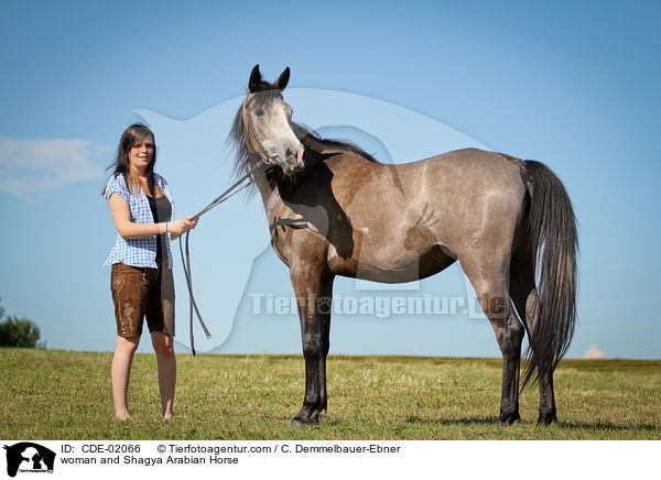 woman and Shagya Arabian Horse / CDE-02066