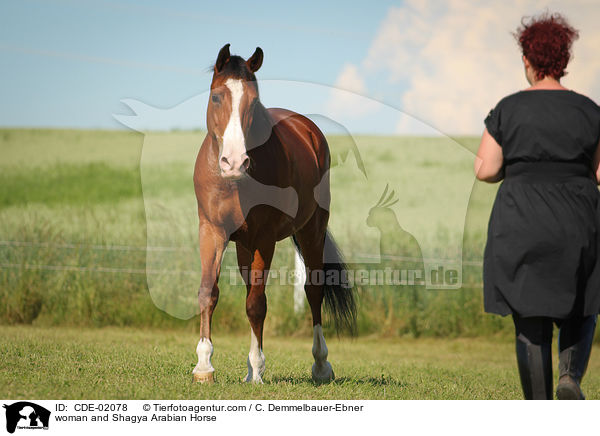 woman and Shagya Arabian Horse / CDE-02078