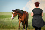 woman and Shagya Arabian Horse