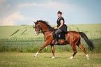 woman rides Shagya Arabian Horse