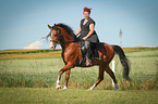 woman rides Shagya Arabian Horse