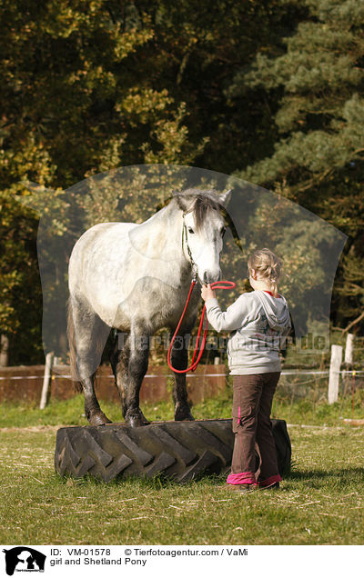 girl and Shetland Pony / VM-01578