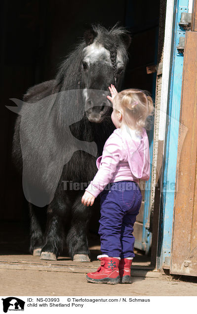 child with Shetland Pony / NS-03993