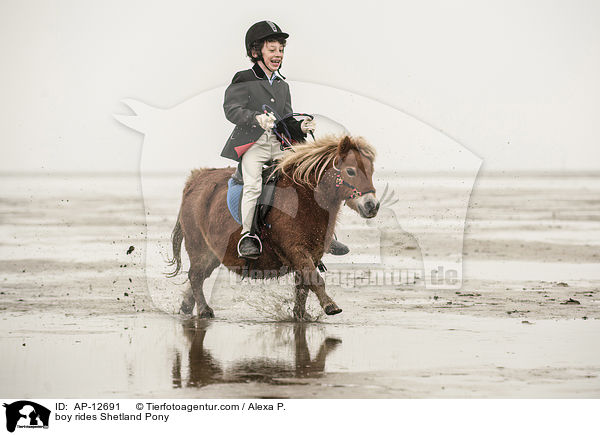 Junge reitet Shetland Pony / boy rides Shetland Pony / AP-12691