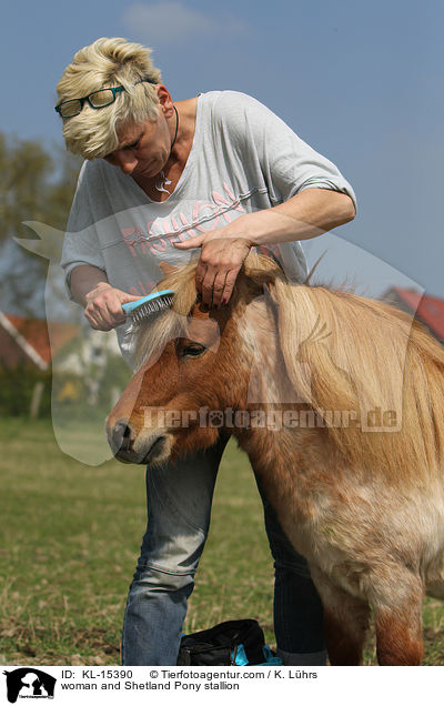 woman and Shetland Pony stallion / KL-15390