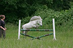 jumping pony