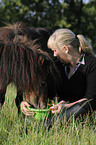 woman feeds Shetland Pony