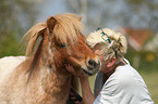 woman and Shetland Pony stallion