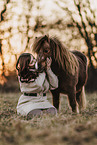 woman and Shetland Pony