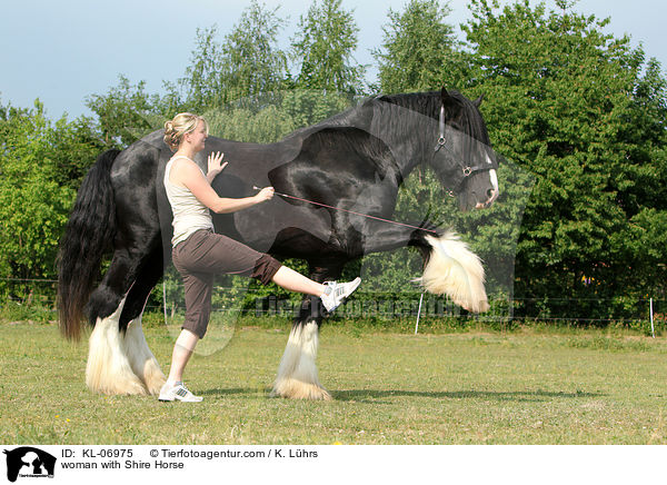 Frau mit Shire Horse / woman with Shire Horse / KL-06975