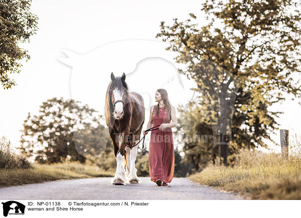 Frau und Shire Horse / waman and Shire Horse / NP-01138