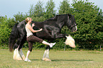 woman with Shire Horse