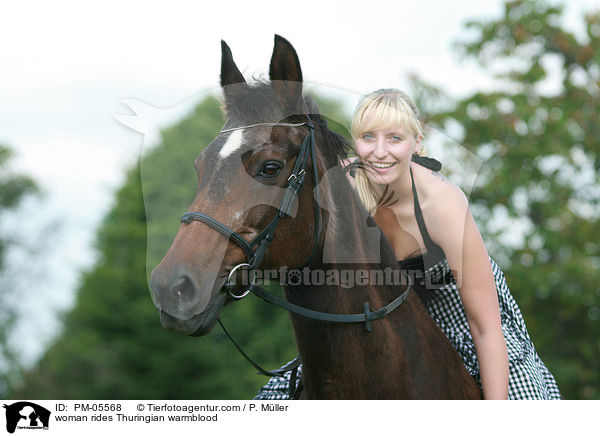 Frau reitet Thringer Warmblut / woman rides Thuringian warmblood / PM-05568