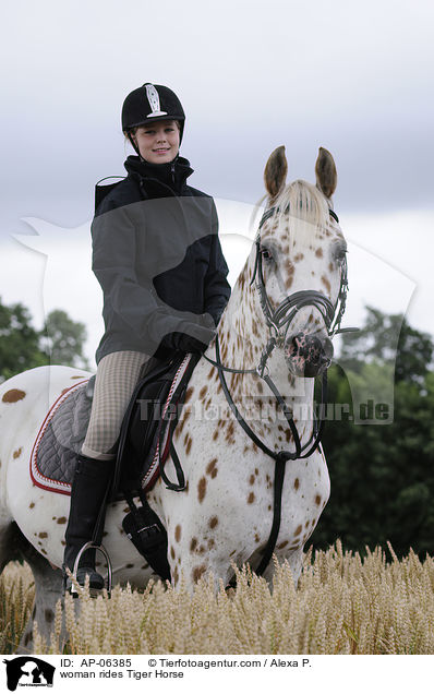 Frau reitet Tiger Horse / woman rides Tiger Horse / AP-06385