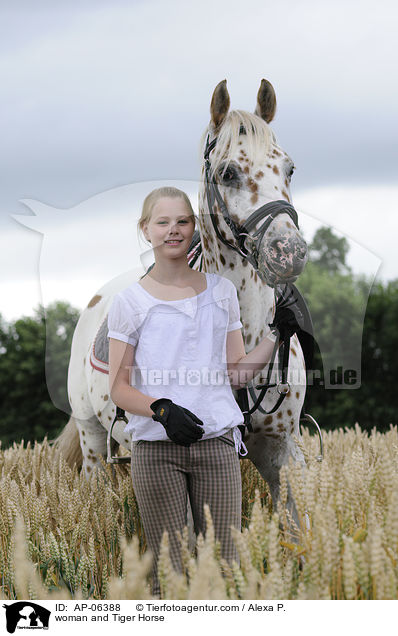 Frau und Tiger Horse / woman and Tiger Horse / AP-06388