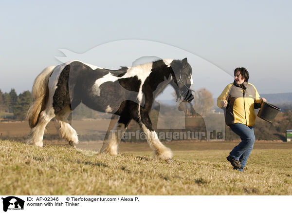 Frau mit Irish Tinker / woman with Irish Tinker / AP-02346