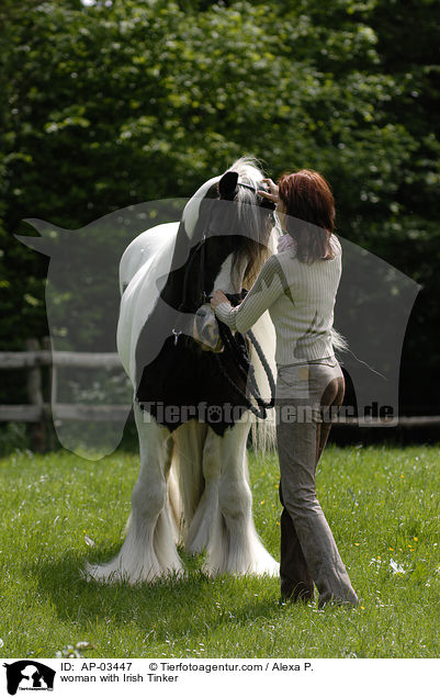 woman with Irish Tinker / AP-03447