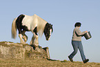 woman with Irish Tinker