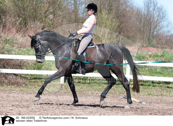 Frau reitet Trakehner / woman rides Trakehner / NS-02959