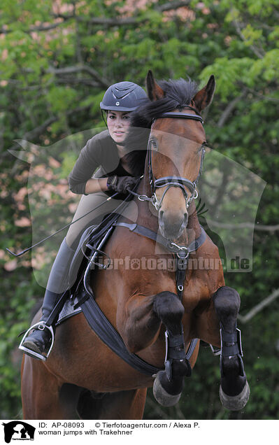 woman jumps with Trakehner / AP-08093