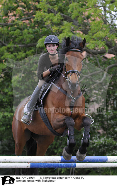 woman jumps with Trakehner / AP-08094
