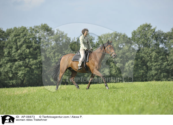 Frau reitet Trakehner / woman rides Trakehner / AP-08873