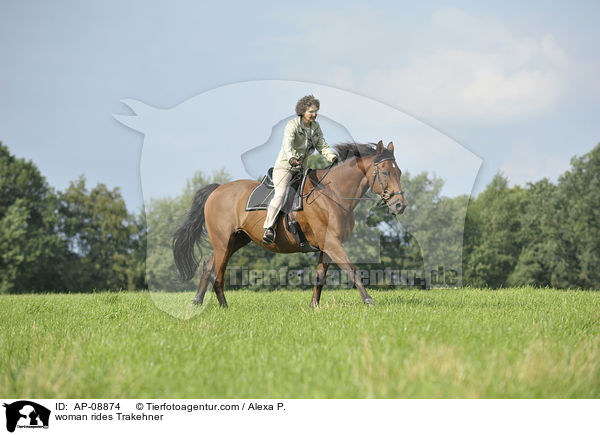Frau reitet Trakehner / woman rides Trakehner / AP-08874