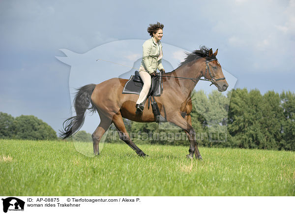 Frau reitet Trakehner / woman rides Trakehner / AP-08875