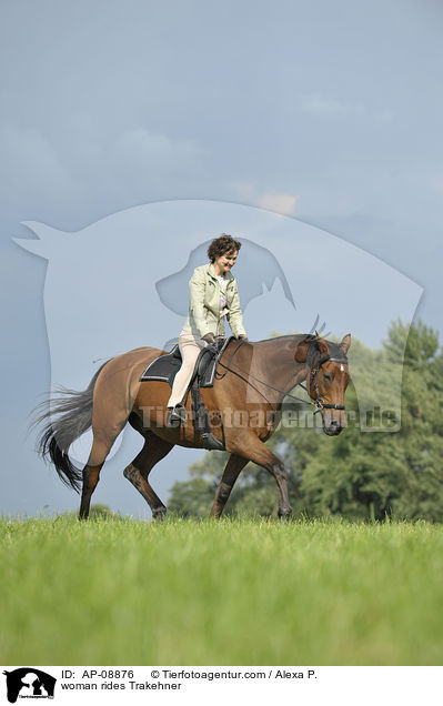 Frau reitet Trakehner / woman rides Trakehner / AP-08876