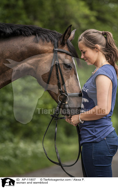 Frau und Trakehner / woman and warmblood / AP-11807