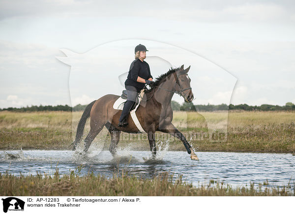 Frau reitet Trakehner / woman rides Trakehner / AP-12283