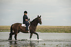 woman rides Trakehner