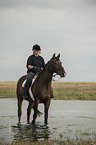 woman rides Trakehner