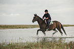 woman rides Trakehner