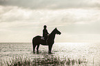 woman rides Trakehner