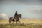 woman rides Trakehner