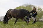 Trakehner mare